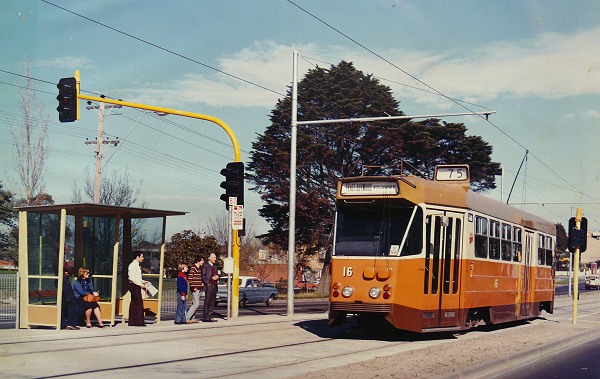 M&MTB 
            Z class No 16 in Burwood Highway, c1978. From the collection of the Melbourne Tram Museum.